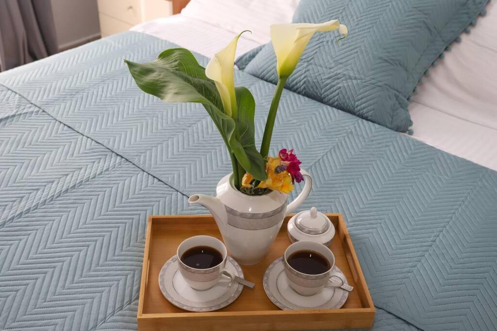 “Katerina'S Guest House” Kato Garouna Dış mekan fotoğraf